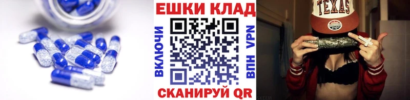 Ecstasy Punisher  купить наркотики цена  Великий Устюг 