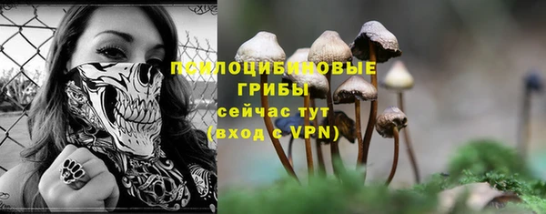 стафф Киреевск