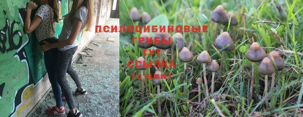 кокс Арсеньев